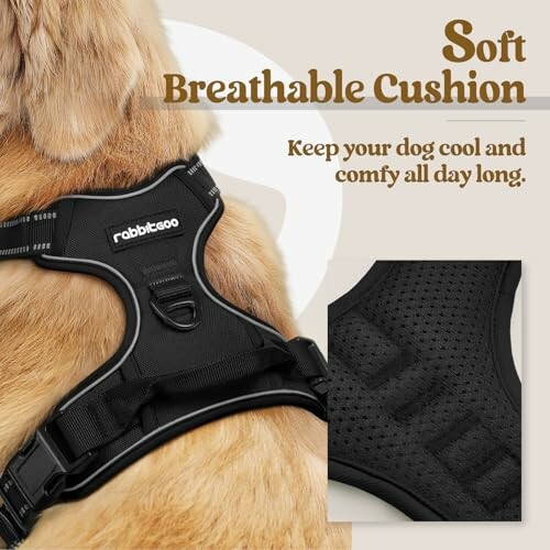 Dog wearing a soft breathable cushion harness, enjoying a walk with its owner.