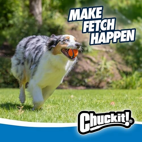 A happy dog running with an orange ball in its mouth, slogan 'Make Fetch Happen'.