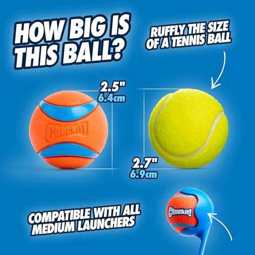 Comparison of dog toy balls with sizes, showing a 2.5 inch orange ball and a 2.7 inch tennis ball.