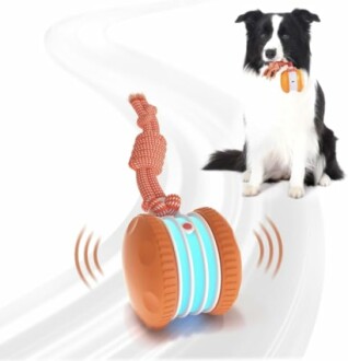 Random Path Electric Dog Toy