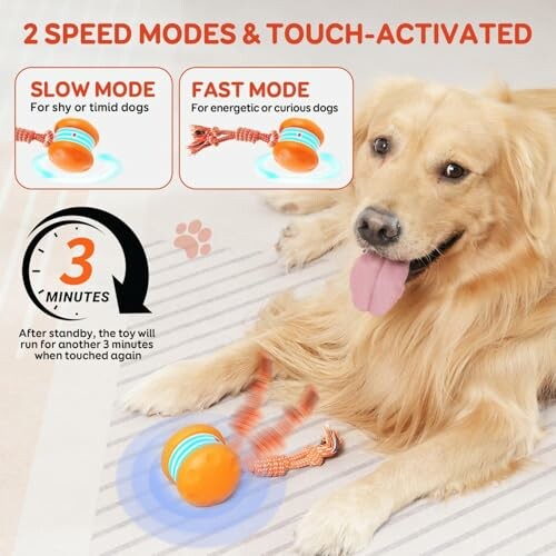 Dog with interactive toy featuring slow and fast speed modes.