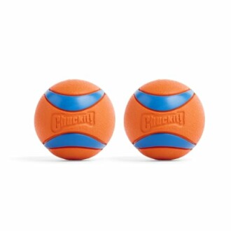 Two orange and blue Chuckit! dog toy balls.